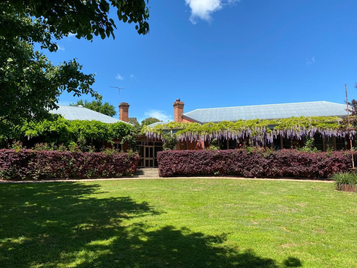 Twelve On Albert Beechworth Bagian luar foto