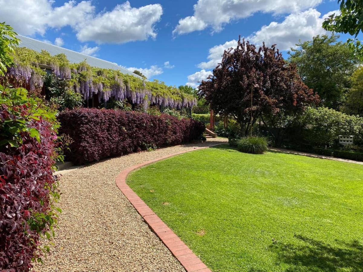 Twelve On Albert Beechworth Bagian luar foto